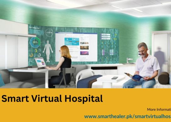 Enhancing Healthcare Accessibility: Smart Virtual Hospital by SmartHealer.pk