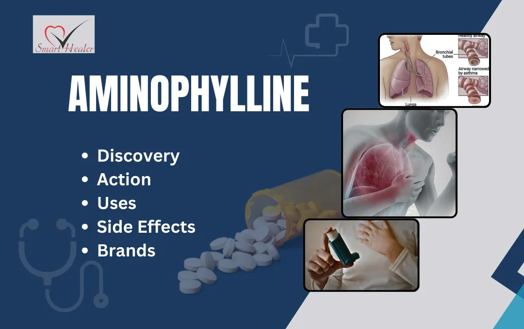 Aminophylline, Discovery, Action, Best Uses, Side effects, Precautions, Dosage and 12 Brands.