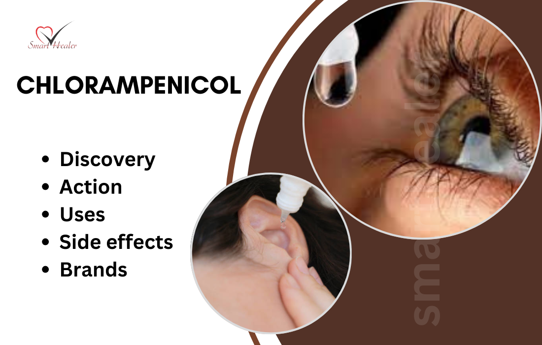 Chloramphenicol, Discovery, Action, Uses, Side effects, Contraindications and Brands